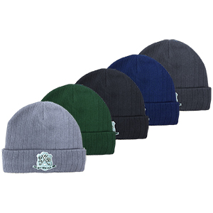 Thinsulate Beanie